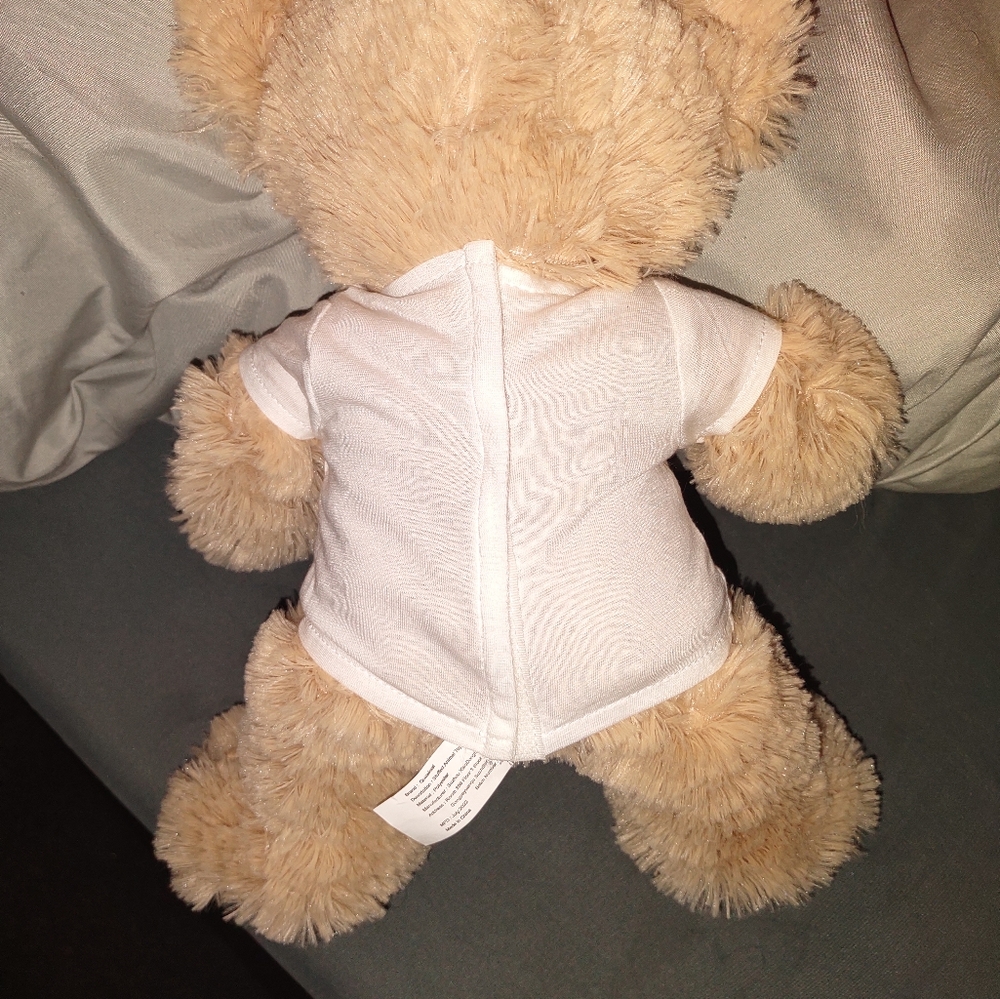 Photo Bears - Picture 2 of 2